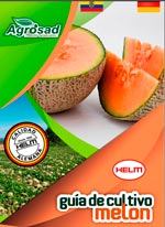 agrosad guia cultivo melon portada