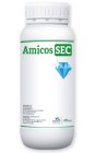amicos_sec_web