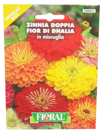 flor de zinnia